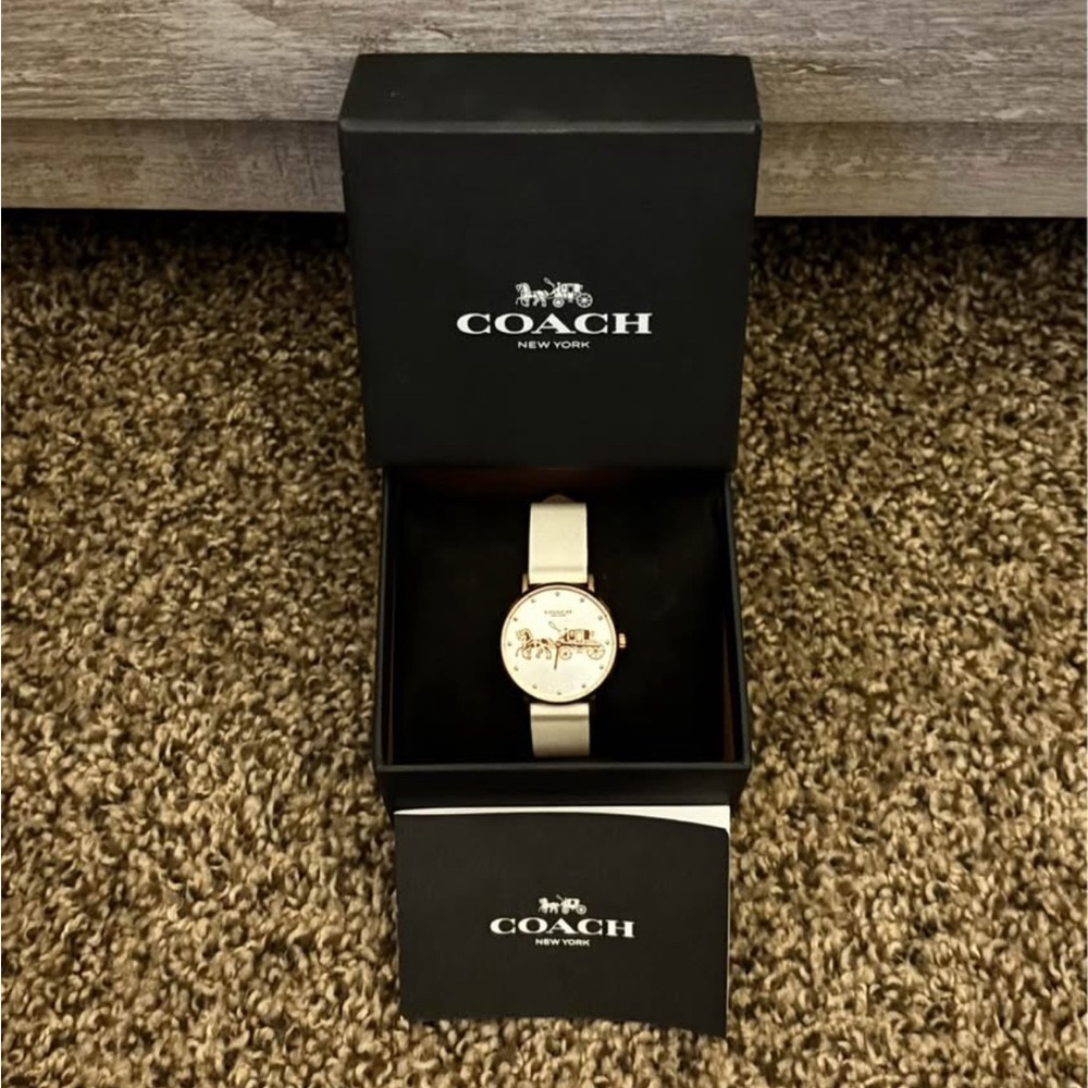 Perry Chalk Leather Silver White Dial Women's Watch